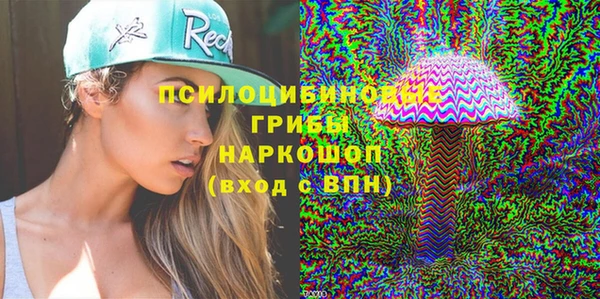 apvp Няндома