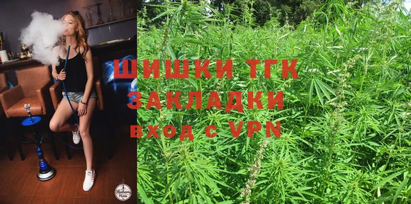 apvp Няндома