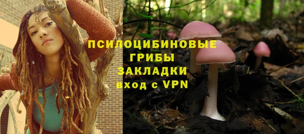 apvp Няндома