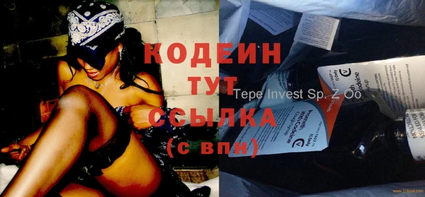 apvp Няндома