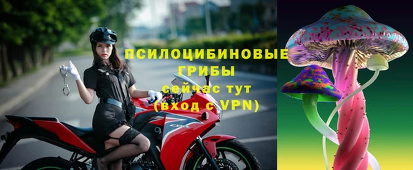 стаф Нязепетровск